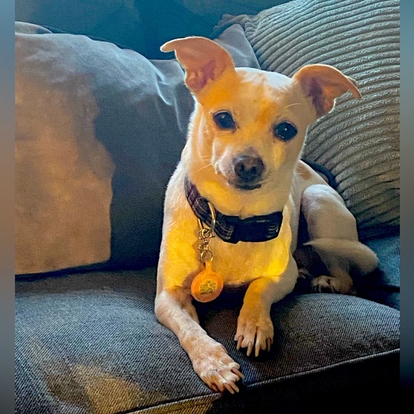 Meet your Posher, Christine - Picture 1 of 1